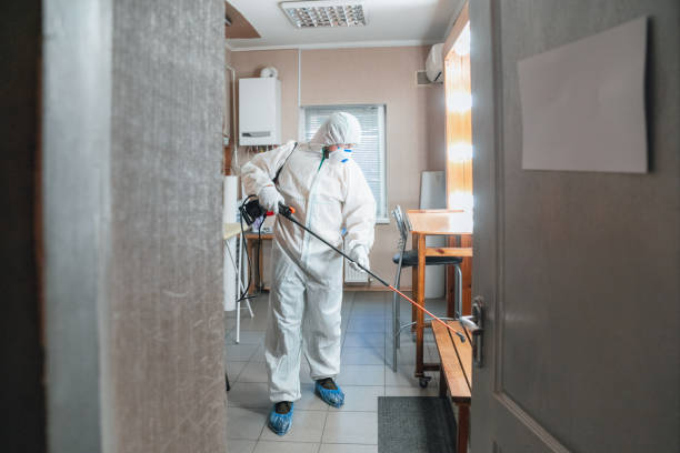 Big Bear City, CA Mold Removal Company