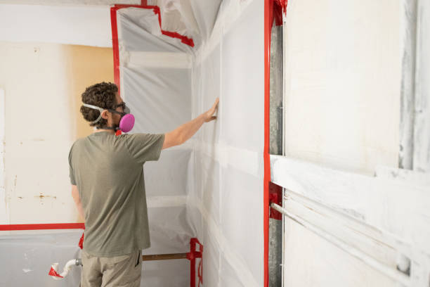 Mold Remediation for Vacation Homes in Big Bear City, CA